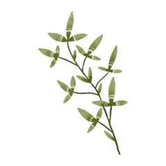 cute vector botanical branch, leaf, hand painted illustration