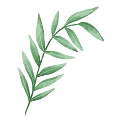 cute vector botanical branch, leaf, hand painted illustration