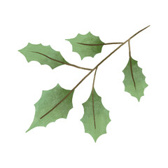 cute vector botanical branch, leaf, hand painted illustration