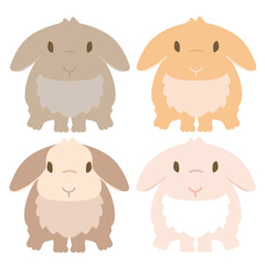 ホーランドロップイヤー