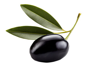 black olives with leaves - 562056551