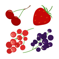 Different fresh berries vector illustrations set. Cartoon drawings of cherries, strawberry, red and black currants isolated on white background. Food, healthy lifestyle, diet, berries concept