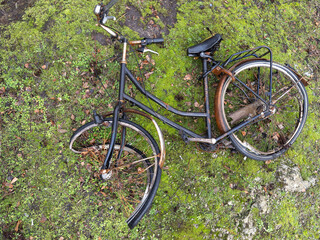 Crashed bicycle left behind in grass field.