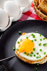delicious fried egg sandwich on black rustic wooden background
