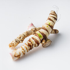 fresh yarrow root on a white acrylic background