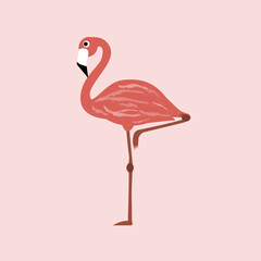 Pink flamingo on isolated background. Vector illustration.