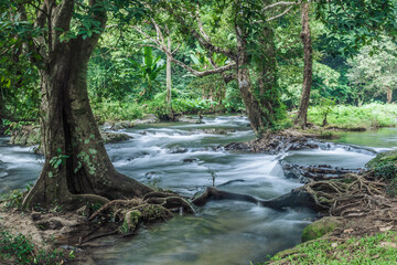 Landscape of a small stream in klong Lan national park of Thailand