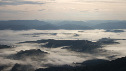 Foggy valley in the morning near Borzhava ridge, Ukrainian Carpathians