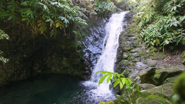 Natural waterfall in a forest on São Jorge island in the Azores