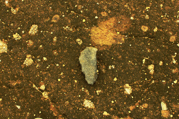 A stone on the sedimentary rocky ground 
