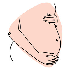 Hand drawn vector pregnant belly in line at style.