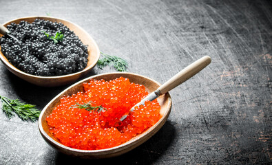 Black and red caviar in bowls with spoons and dill.