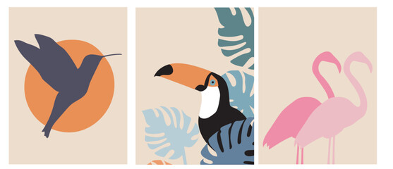 Collection of artistic abstractions: a silhouette of a hummingbird and a flamingo, a toucan in monstera leaves on a beige background
