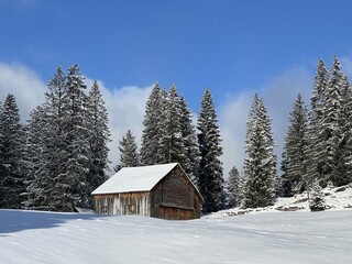 Fototapeta na wymiar Indigenous alpine huts and wooden cattle stables in the Swiss Alps covered with fresh first snow over the Lake Walen or Lake Walenstadt (Walensee), Amden - Canton of St. Gallen, Switzerland (Schweiz)