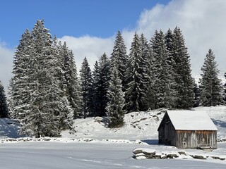 Indigenous alpine huts and wooden cattle stables in the Swiss Alps covered with fresh first snow over the Lake Walen or Lake Walenstadt (Walensee), Amden - Canton of St. Gallen, Switzerland (Schweiz)