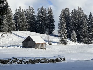 Indigenous alpine huts and wooden cattle stables in the Swiss Alps covered with fresh first snow over the Lake Walen or Lake Walenstadt (Walensee), Amden - Canton of St. Gallen, Switzerland (Schweiz)