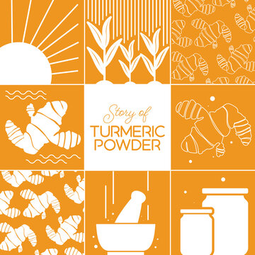 Turmeric pattern vector, Life of turmeric powder in an illustrated way,