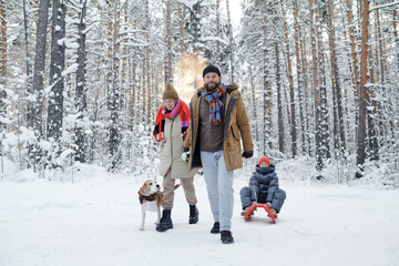 Fototapeta na wymiar Family sledding their daughter and walking with dog in the forest during winter vacations