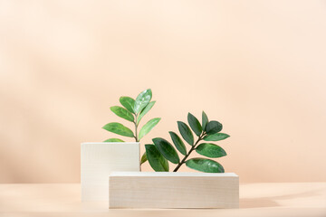 Wooden cube podium with green leaves on light beige background. Minimal wooden stand for branding...