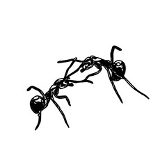 black and white sketch of an ant with a transparent background