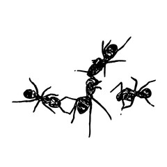 black and white sketch of an ant with a transparent background