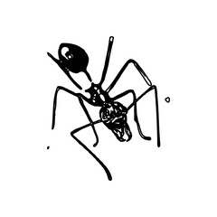 black and white sketch of an ant with a transparent background