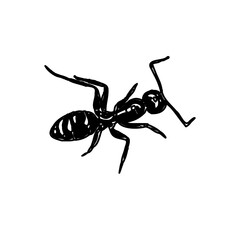 black and white sketch of an ant with a transparent background