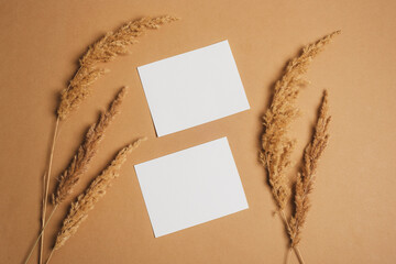 Blank paper sheet cards and pampas grass on beige background. Top view, flat lay, mockup