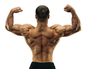 Handsome muscular male bodybuilder. Perfect muscular male body. Bodybuilder Back Double Bicep Pose Transparent PNG 