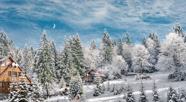 Winter forest in the Carpathians. Guest house forester in the winter forest in the Carpathians on Lake Vita, Western Ukraine.