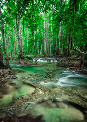 Obraz premium waterfall in the forest