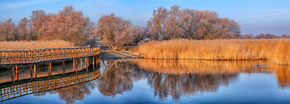 A general view of the national park of Las Tablas de Daimiel is pictured in Ciudad Real.