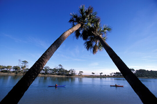 Women kayaking in intercostal waterway.