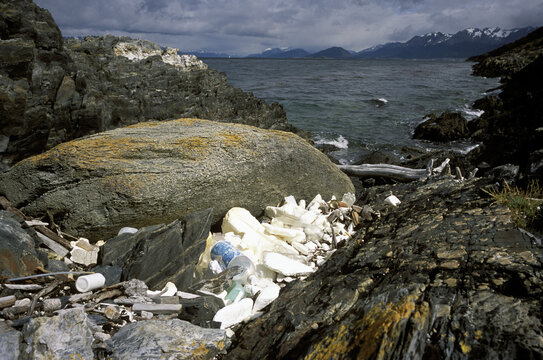 Environmental Woes of Tierra del Fuego -- Development