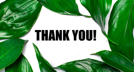 Against the background of green natural leaves, a white card with the text THANK YOU