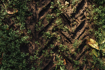 Agricultural tractor tire tracks in dirt road ground, top view