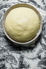 Dough in the bowl.