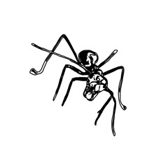 black and white sketch of an ant with a transparent background