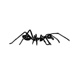black and white sketch of an ant with a transparent background