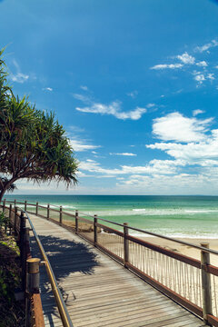 Timber boardwalk and pandanus palm trees by the sea at Caloundra, Queensland.