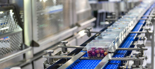 Food products boxs transfer on Automated conveyor systems industrial automation for package	