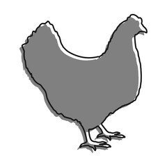 Linear icon. Homemade chicken. Farm bird laying eggs. Simple black and white vector isolated on white background
