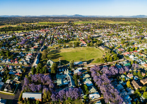 showground in country town of singleton during jacaranda season in november