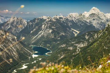 alpine meadow in the Julian alps looking into the valley.