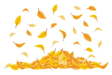 Vector illustration of falling leaves. Vector Falling Flying Autumn Leaves