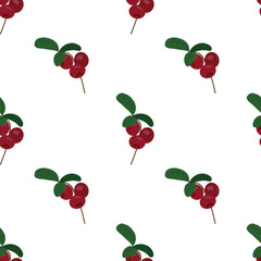 Summer vector pattern with cranberries