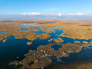Fototapeta na wymiar Eber lake and reeds, Afyonkarahisar, Turkey