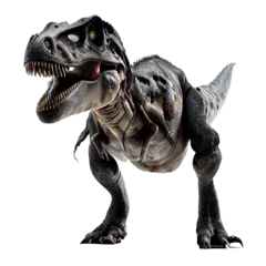 Wandcirkels aluminium AI generative tyrannosaurus rex dinosaur © I LOVE PNG