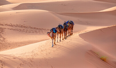 Sand dunes and sand storm in the Sahara desert - hot and dry desert landscape - Camel caravan in the desert at sunrise -  Sahara, Morrocco
