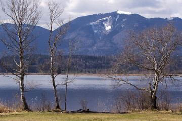 der oberbayerische Staffelsee im Frühjahr mit Blick auf den Berg Hörnle